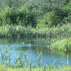 Гостевое подворье Кудеверь, Бежаницкий район, Псковская область
