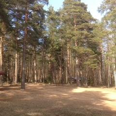 База отдыха Озеро Зеркальное, Выборгский район, Ленинградская область