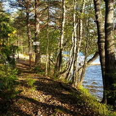 База отдыха Озеро Зеркальное, Выборгский район, Ленинградская область