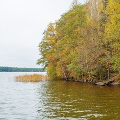 База отдыха Озеро Зеркальное, Выборгский район, Ленинградская область