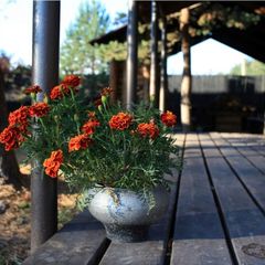 База отдыха Медвежья кара, Волховский район, Ленинградская область