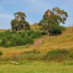 База отдыха Лебяжье, Сысертский район, Свердловская область