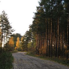 База отдыха Медвежья кара, Волховский район, Ленинградская область