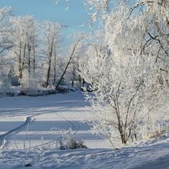 База отдыха Медвежья кара, Волховский район, Ленинградская область