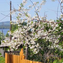 База отдыха Осинская слобода, Осинский район, Пермский край