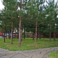 База отдыха Рудня Хутор, Дзержинский район, Калужская область
