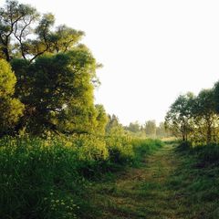 Парк-отель Воробьи, Жуковский район, Калужская область