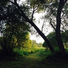 Парк-отель Воробьи, Жуковский район, Калужская область