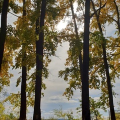 База отдыха Займище, Казань, Татарстан