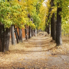 База отдыха Займище, Казань, Татарстан