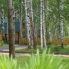 Загородный клуб На Ватоме, Бор, Нижегородская область