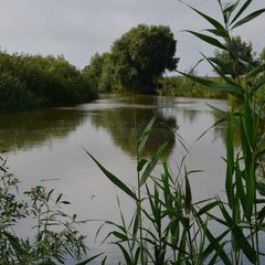 Рыболовно-охотничий клуб 26 регион, Камызякский район, Астраханская область