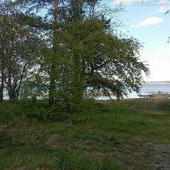 База отдыха Огни Урала, Сосновский район, Челябинская область