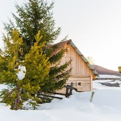 База отдыха Дикий Рай, Нижняя Тура, Свердловская область