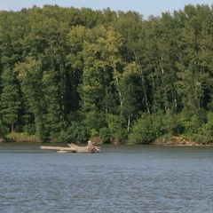 База отдыха Рыбалка и отдых на Оби, Шегарский район, Томская область