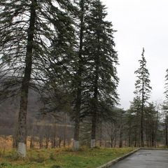 Отель Голубое озеро, Черекский район, Республика Кабардино-Балкария