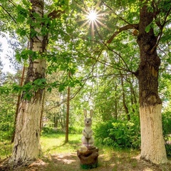 Дом отдыха ВКС-Кантри, Петушинский район, Владимирская область