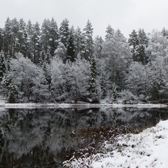База отдыха Бобровец, Андреапольский район, Тверская область