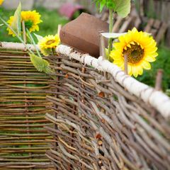 База отдыха Дикий Рай, Нижняя Тура, Свердловская область