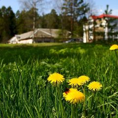 Эко-отель Бор на Волге, Конаковский район, Тверская область