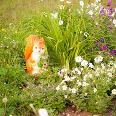 База отдыха Дикий Рай, Нижняя Тура, Свердловская область