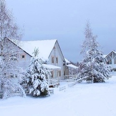 Эко-отель Новый ковчег, Осташковский район, Тверская область