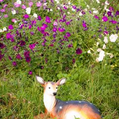 База отдыха Дикий Рай, Нижняя Тура, Свердловская область