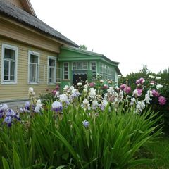 Конно-туристическая база Махерово, Оленинский район, Тверская область
