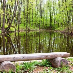 База отдыха Живые родники, Богородский район, Нижегородская область