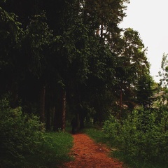 Эко-отель Бор на Волге, Конаковский район, Тверская область