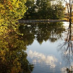 База отдыха Живые родники, Богородский район, Нижегородская область