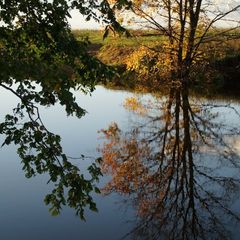 База отдыха Живые родники, Богородский район, Нижегородская область