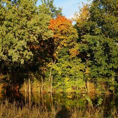 База отдыха Живые родники, Богородский район, Нижегородская область