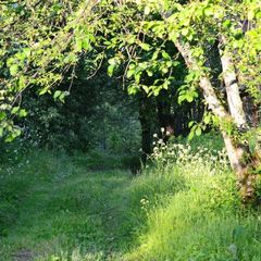 Конно-туристическая база Махерово, Оленинский район, Тверская область