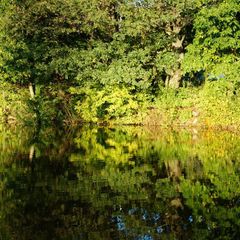 База отдыха Живые родники, Богородский район, Нижегородская область