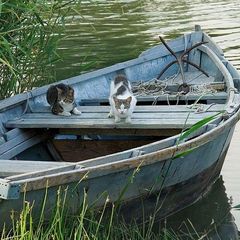 База отдыха Рыбный Рай, Ивнянский район, Белгородская область