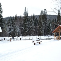 База отдыха Нарва Club, Манский район, Красноярский край