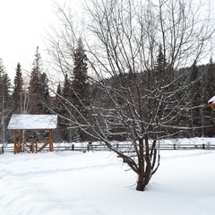 База отдыха Нарва Club, Манский район, Красноярский край