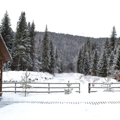 База отдыха Нарва Club, Манский район, Красноярский край