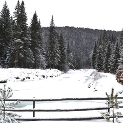 База отдыха Нарва Club, Манский район, Красноярский край