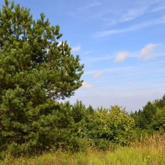 База отдыха Новый Берег, Кстовский район, Нижегородская область