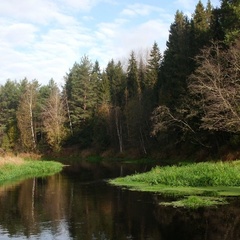 База отдыха Резиденция Комела, Грязовецкий район, Вологодская область
