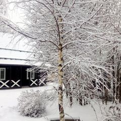 База отдыха Резиденция Комела, Грязовецкий район, Вологодская область