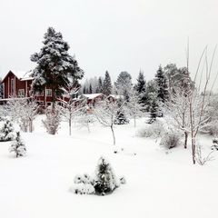 База отдыха Резиденция Комела, Грязовецкий район, Вологодская область