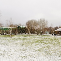 Загородный клуб Бристоль, Городищенский район, Волгоградская область