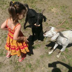 Загородный клуб Интересное Место, Рузский район, Московская область