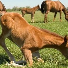 База отдыха Митричево, Камызякский район, Астраханская область