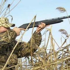 База отдыха Митричево, Камызякский район, Астраханская область