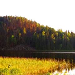 Гостевой комплекс Домики на берегу озера, Сортавала, Республика Карелия