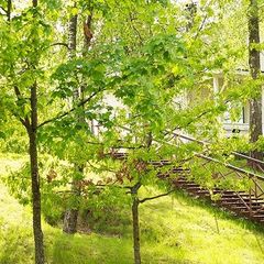 База отдыха Аврора, Выборгский район, Ленинградская область